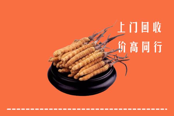 附近收购：锡林郭勒冬虫夏草回收多少钱每克